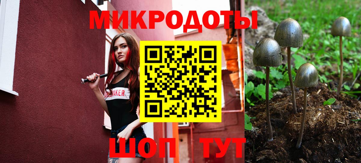 Галлюциногенные грибы мицелий Черногорск