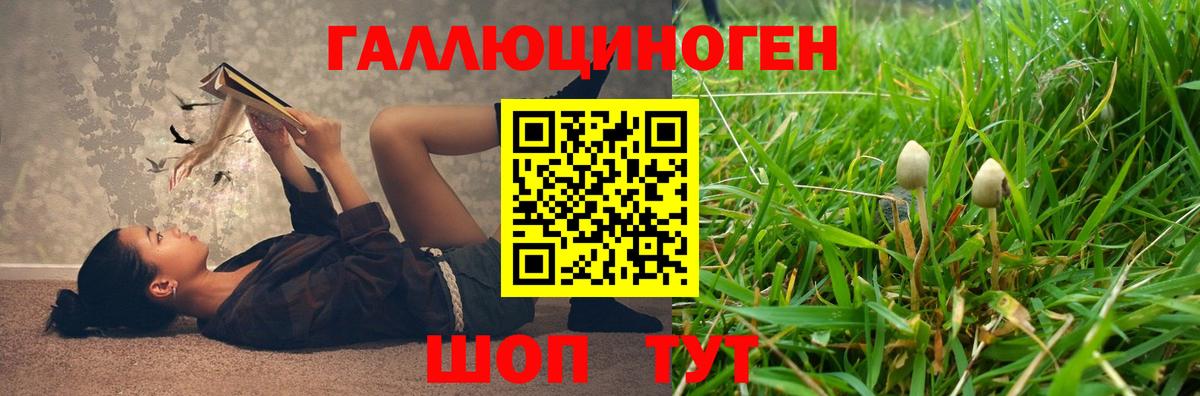 Черногорск  Галлюциногенные грибы Cubensis  Вход с VPN 